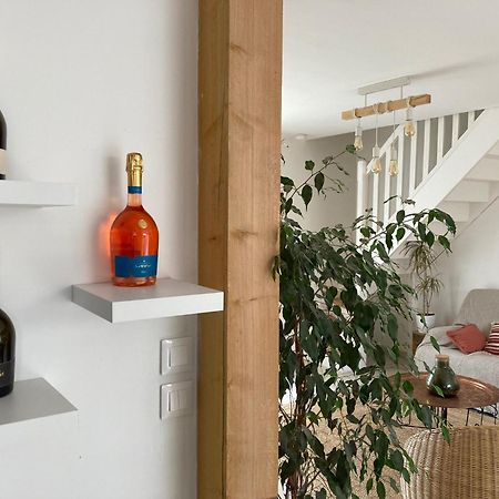 Lodge De La Vigneronne Châtillon-sur-Marne Extérieur photo