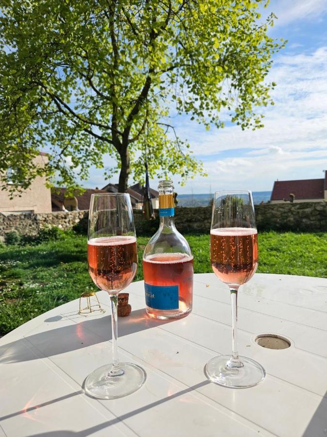 Lodge De La Vigneronne Châtillon-sur-Marne Extérieur photo